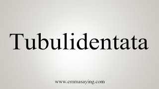 How To Say Tubulidentata [upl. by Toms]