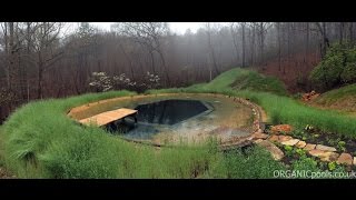 How to make a Natural  Organic Pool in America [upl. by Harima]