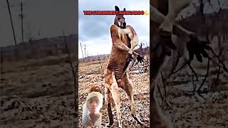 kankalliek skibiditoilet pubgfunny video subscribelieke [upl. by Ailehpo]