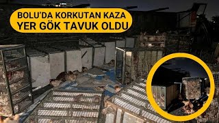 TAVUK YÜKLÜ KAMYONU DEVRİLDİ 1112024 [upl. by Zul]