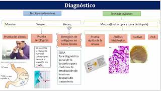 Bases microbiológicas de las infecciones del tracto gastrointestinal [upl. by Nelram]