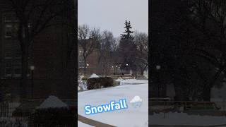 saskatoon canada winter snowfall [upl. by Deste]