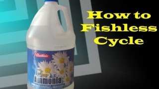 How To Fishless Cycle A New Tank [upl. by Livia247]