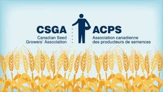 How is Canadian Certified Seed Produced [upl. by Lynn]