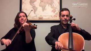 ViolinCello Duo Speechless Dan  Shay [upl. by Krischer134]