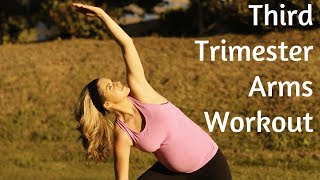 Third Trimester Prenatal Arms WorkoutBut Good for ALL Trimesters of Pregnancy [upl. by Bonaparte251]