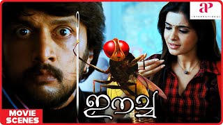 Eecha Malayalam Movie  Nani  Samantha  Sudeep  Nani helps Samantha to fulfill her experiment [upl. by Aytac567]