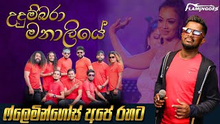 Udumbara Manaliye උදුම්බරා මනාලියේ  Live Performance With Ahungalla Flamingoes [upl. by Vinna]