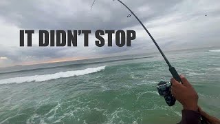 Epic Shad and Mullet Frenzy in Durban  NonStop Action [upl. by Bowers]