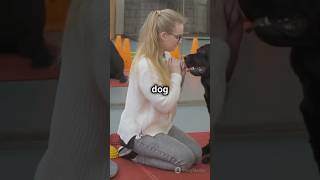 Understanding Female Dogs Psychology 🐕💬 [upl. by Ilat]