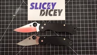 Should You Buy a Spyderco PM2 or a Para 3 [upl. by Er]