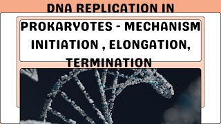 DNA Replication in Prokaryotes  Part 2 Mechanism of Replication Csirnet Gate IIT JAM CUET PG [upl. by Ainitsirk]