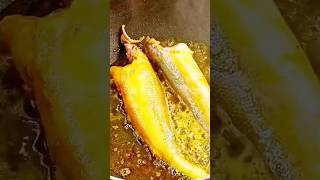 সেরা স্বাদের ভোলা মাছের ঝাল রেসিপি  Bhola Macher Jhal  Bhola Macher Recipe  Bengali Fish Recipe [upl. by Aztinay223]