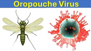 Oropouche Virus Now In Cuba and Guyana [upl. by Bois187]