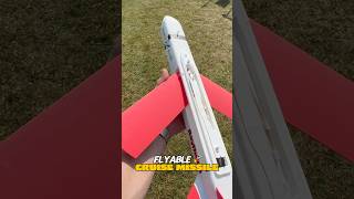 A FLYABLE Cruise Missile 🚀 NEAT FAIR 2024 [upl. by Dleifrag]