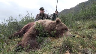 Potential WORLD RECORD GRIZZLY Hunt [upl. by Aehr]