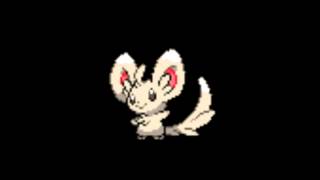 Pokemon Cries  572 Minccino [upl. by Eceinhoj331]