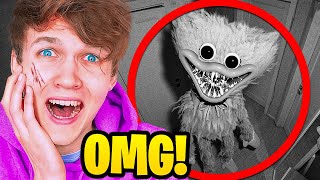 7 YouTubers Who Caught Huggy Wuggy ON CAMERA LankyBox Unspeakable Plasmonix [upl. by Alahs]