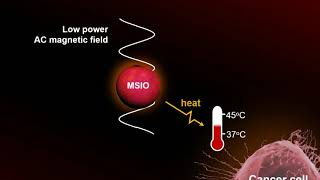 Magnetic hyperthermia [upl. by Burrill726]