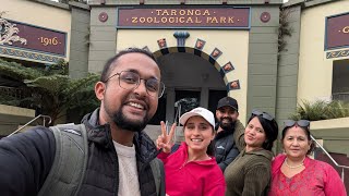 Exploring Sydney with Family  Taronga Zoo Adventure  New Drone [upl. by Orelee]