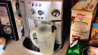 Delonghi coffee machine cleaning [upl. by Nolur]