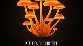 Colorful Raindrops  Psilocybe Dubstep [upl. by Manny129]