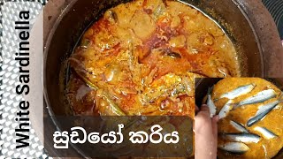 Sudaya white sardinella fish curry Sri Lankan style 🤤 [upl. by Kynthia]