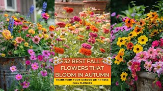 32 Best Fall Flowers that Bloom in Autumn [upl. by Ettelrats]