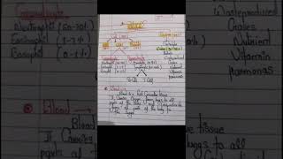 HematologyIntroductionBlood 🩸BMLTDMLT Course [upl. by Hanonew]