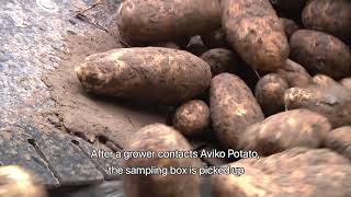 Aviko Potato  Potato Sampling English subtitles [upl. by Anilec]