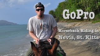 Nevis amp St Kitts • Horseback Riding [upl. by Eddy794]