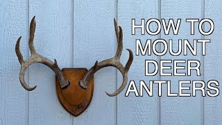 HOW TO MOUNT DEER ANTLERS [upl. by Gunthar830]