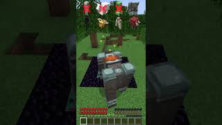 Nether Damage vs Different Mobs minecraft shorts meme [upl. by Hgielyk]