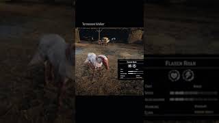 RDR2 • All Mustang Horse Colors and Locations • Red Dead Redemption 2 [upl. by Harli393]