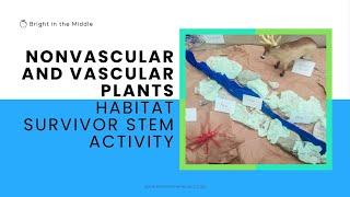 Nonvascular and Vascular Plants Habitat Survivor STEM Activity [upl. by Ybab]