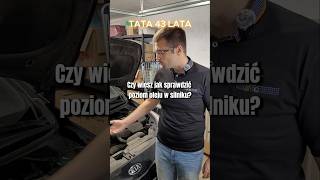 Jak sprawdzić poziom oleju w silniku auto serwis tata Syn edukacja [upl. by Ilsel91]