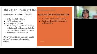 Hypoxic Ischemic Encephalopathy in Critical Care Transport [upl. by Nojel]