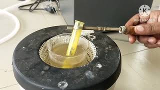 Fructose  Confirmatory test  Osazone test  Carbohydrates  Biochemistry Laboratory [upl. by Norah]