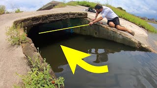 You WONT BELIEVE what lives in this STORM DRAIN MASSIVE [upl. by Ttsepmet]