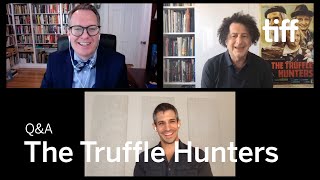 THE TRUFFLE HUNTERS QampA  TIFF 2020 [upl. by Nimajneb]