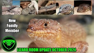 REPTILE ROOM UPDATE OCTOBER 2024 Pt 12 [upl. by Devonna]