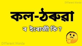 কলঠৰুৱা  ৰ ইংৰাজী কি  কলঠৰুৱা মানে কি  Assamese to English vocabulary  words meaning [upl. by Kuhlman]