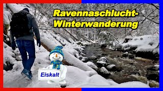 Wanderung durch die Ravennaschlucht ab Bahnhof Hinterzarten  eine frostige Angelegenheit 🐻‍❄️😉 [upl. by Liahcim]