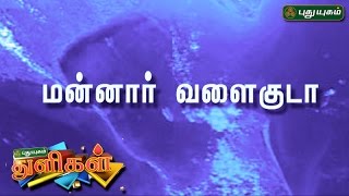 வியக்கவைக்கும் மன்னார் வளைகுடா   Puthuyugam Thuligal  PuthuyugamTV [upl. by Tad501]