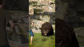 How To Escape A Grizzly Bear Attack 😨  Melon Playground bear [upl. by Caterina]