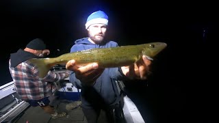 Fishing offshore and inshore of Westernport Whiting Calamari and more [upl. by Etennaej]