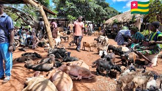 Rural African village market day in Vogan Togo west Africa 🌍 [upl. by Isa584]