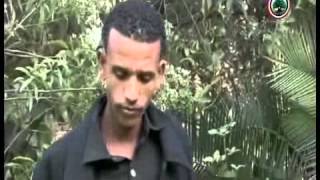 Kadir Martu  Mahbuubaa Oromo Music [upl. by Yarased55]