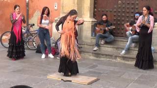 Flamenco dance 5 in Granada 2015 [upl. by Mines]