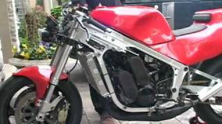 Suzuki RG500 Gamma RG 500 Wolf exhaust Tuned [upl. by Ylrebnik281]